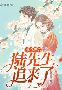 拒绝我后陆先生追来了小说