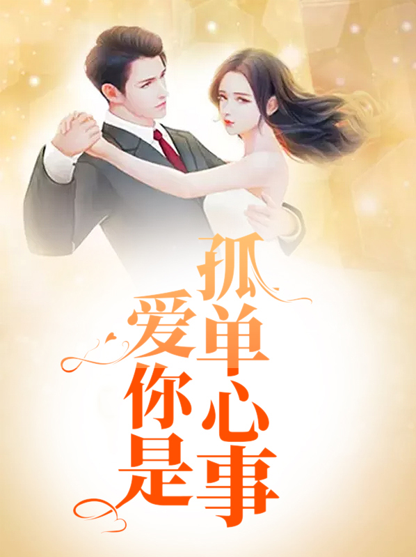 爱你是孤单心事 小说