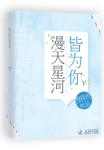 漫天星河皆为你小说
