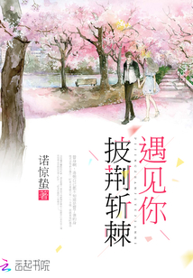 披荆斩棘遇见你小说免费阅读