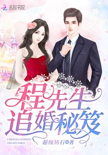 程先生追婚秘笈