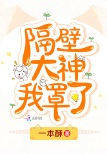 隔壁那个大神在撩我小说