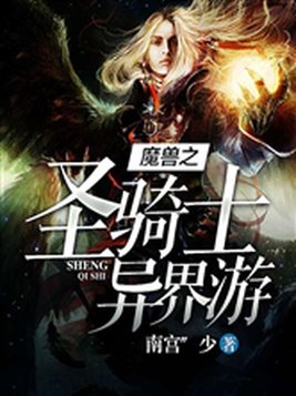 魔兽世界圣骑士骑士之路