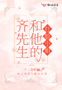 齐先生的追妻修罗场免费阅读