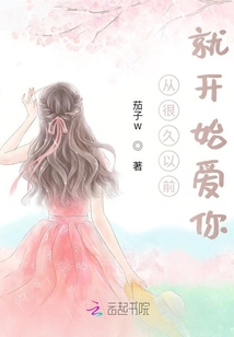 从很久以前就开始爱你歌词