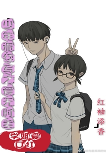 少年派续文