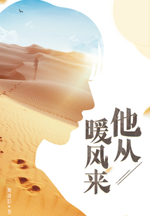 他从暖风来全文阅读