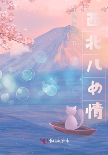 西北儿女情百度网盘