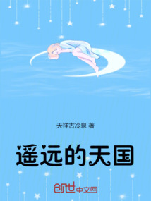 遥远的天国小说
