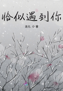 恰似你的