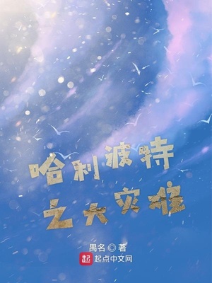 哈利波特之大灾难百度网盘