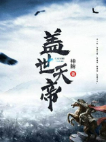 盖世天帝等级划分