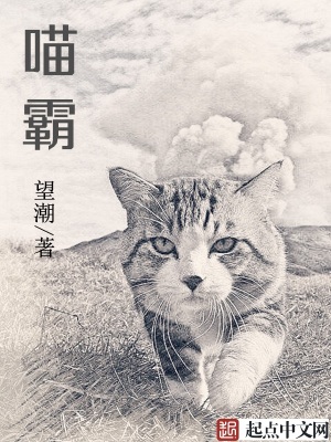 喵霸霸卖什么东西