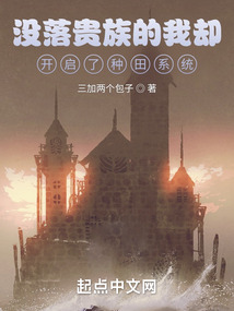 没落贵族什么意思
