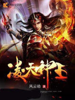 凌天神王