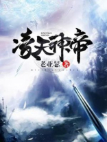 凌天神帝叶天