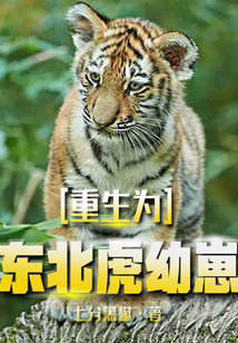 重生为东北虎幼崽,免费