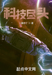 科技尽头小说