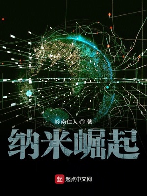纳米崛起TXT下载