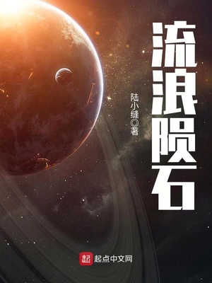流浪陨石TXT免费下载