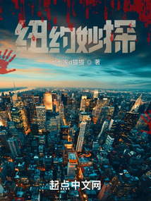 纽约妙探无防盗