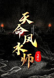 天命风水师林天全文免费阅读