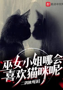 巫女的猫新小说