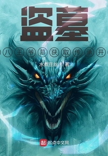 盗墓八一