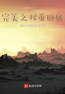 完美之双重卧底主角是二五仔