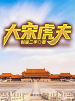 大宋大丈夫 小说