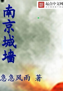 南京城墙多少公里?