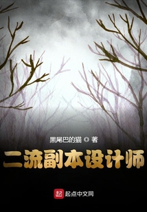 副本设计师小说