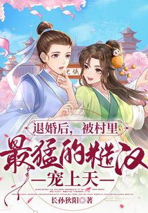 遭退婚的小说