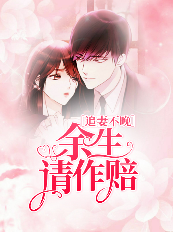 小说追妻不晚