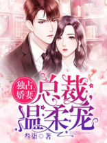 独占娇妻:总裁,温柔宠全文阅读