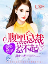 腹黑总裁惹不起 小说