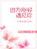 因为刚好遇见你哪年的歌