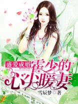 盛爱成婚霍少的心尖宠免费阅读