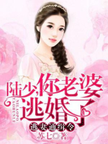 陆先生,你命里缺我