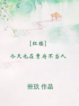 [红楼]今天也在贾府不当人TXT笔趣阁