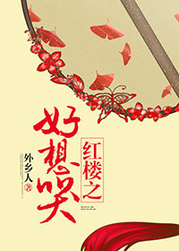 外乡人小说红楼之好想哭
