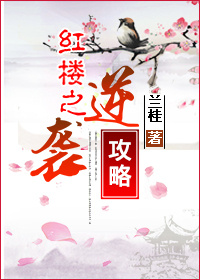 红楼之逆袭攻略全文免费阅读