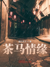 小说茶马茶马