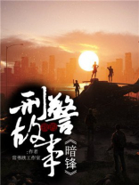 暗锋我的刑警故事电子版