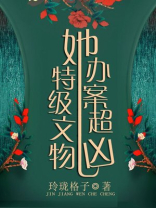 特级文物她办案超凶免费