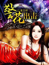 警花出击之跟踪追击在线观看