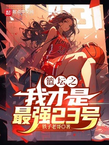篮坛之我才是最强23号