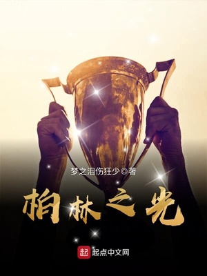 柏林之光小说