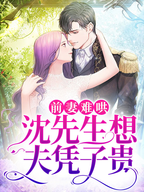 沈总难缠前妻太撩人