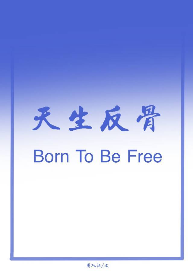 [足球]绿茵场魔术师小说